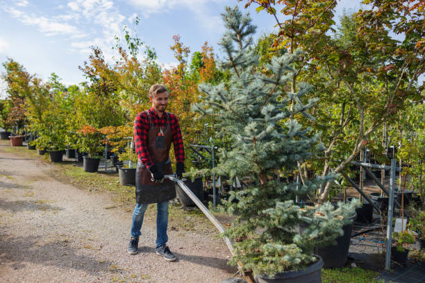 Best Commercial Tree Services  in Eastwood, LA